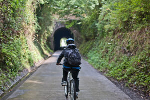 Fuente: http://www.valledebaztan.com