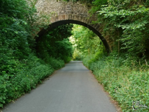 Fuente: euskadienbtt.el-foro.com