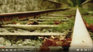 viaverdeplazaola_marzo2016