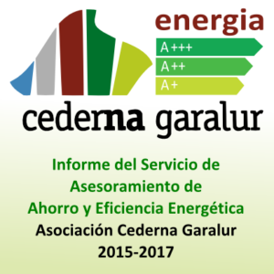 logo_informe_cast