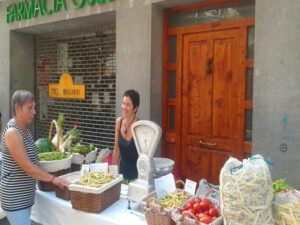 jornadas_pocha_sanguesa