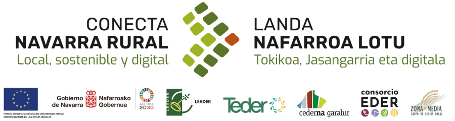 logo-conectanavarrrural-prov-v01