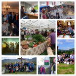 Accede a nuestro álbum de fotos