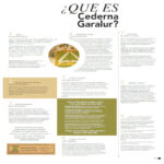 Accede a nuestra publicación